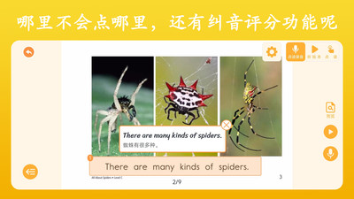 Ӣ�������ٷ���v2.1.3 �ֻ���