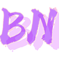 BNֱװ����v7.8 �ֻ���