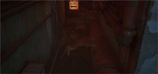 ����è��ʧ�ֻ���(��ʧStray)v2.93 ���°�