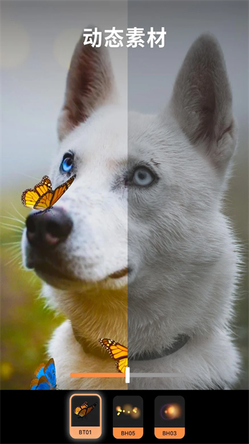 Motionleap���İ�����v1.8.1 ��׿��