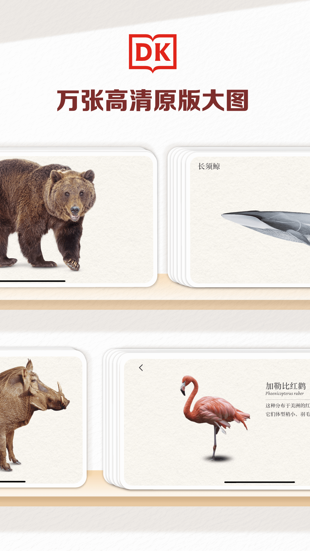 dk�ٿ�app�ٷ�����v2.0.49 ���°�