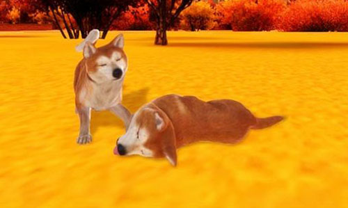 秋田犬模拟器手机游戏(Akita Dog Simulator)v1.1.6 安卓版