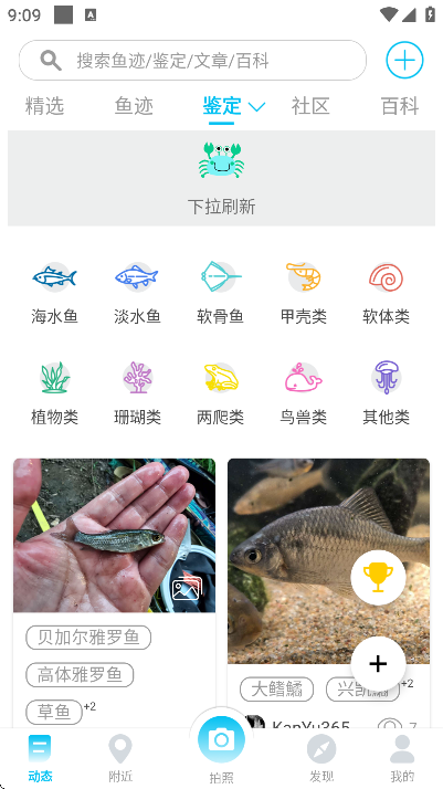 ����app�ֻ���v2.8.1 ���°�