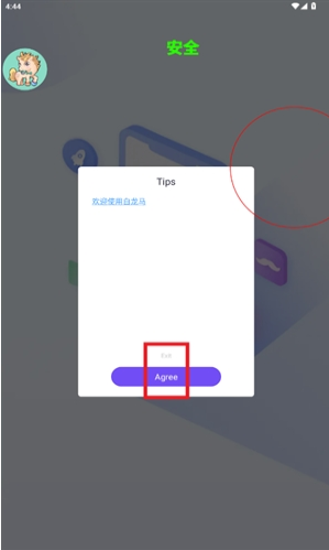 ������ֱװapp����