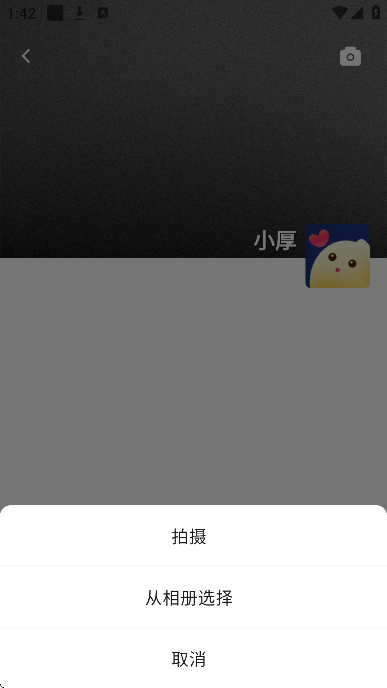 ����app���°汾