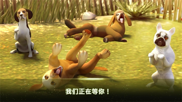 �ҵļ��޹�����Ϸ