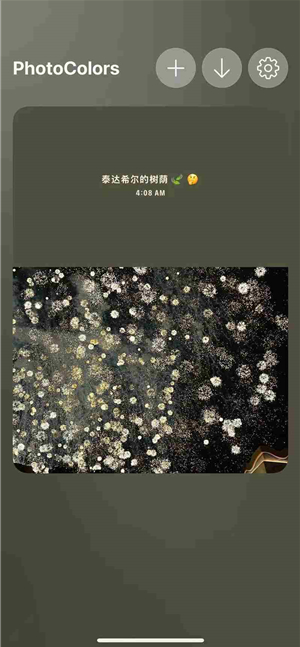 photocolors软件官方版 photocolors软件官方版