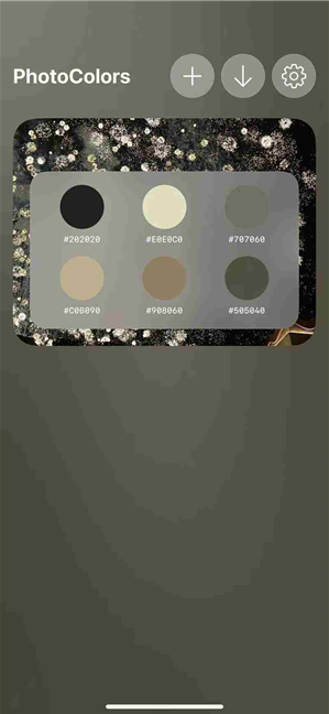 photocolors软件官方版 photocolors软件官方版