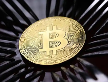 ���ܻ��ҽ�����������Щ 2026���ܻ��ҽ���ƽ̨�����̵�
