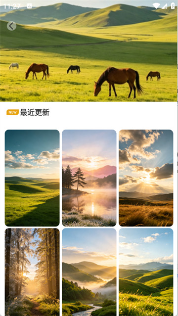 萤火虫壁纸主题商店app最新版 萤火虫壁纸主题商店app最新版