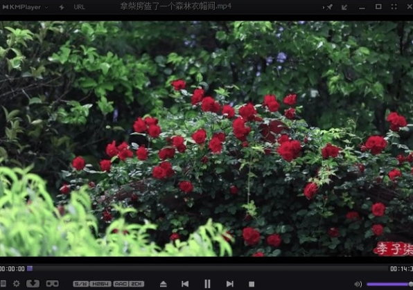 KMPlayer电脑版 KMPlayer电脑版