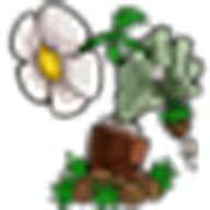 ֲ���ս��ʬ��ˬ�����v1.0 ��׿��