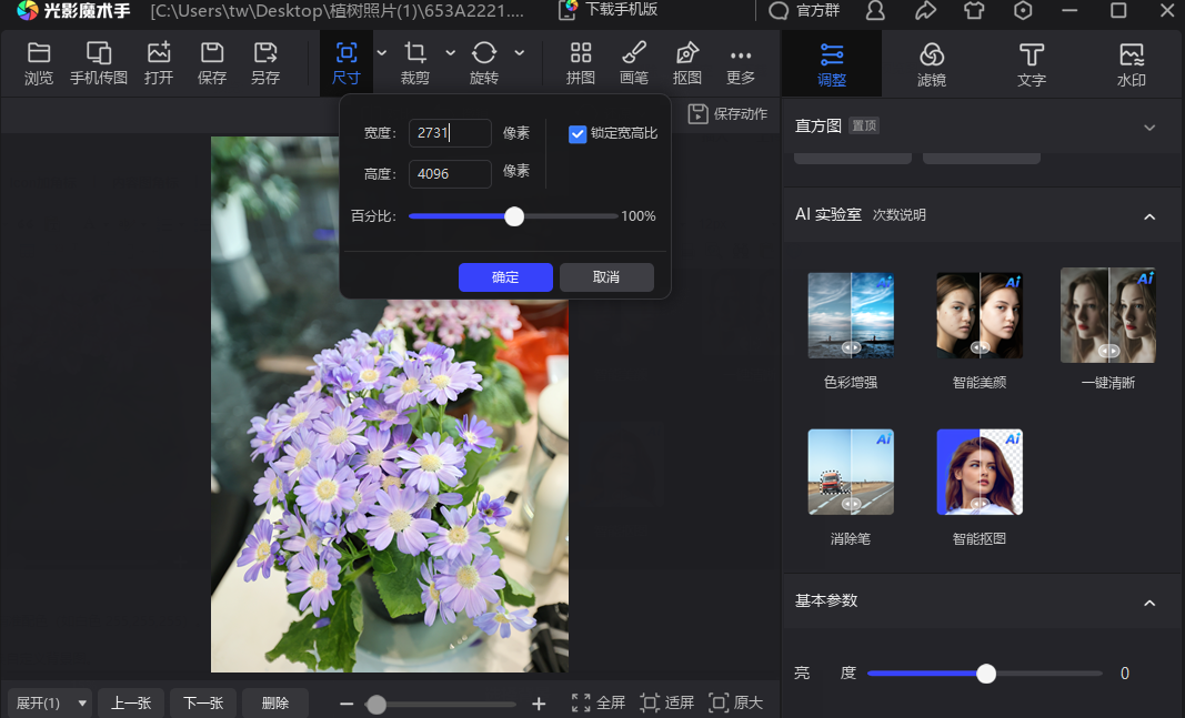 光影魔术手电脑版v4.7.4.1230 最新版