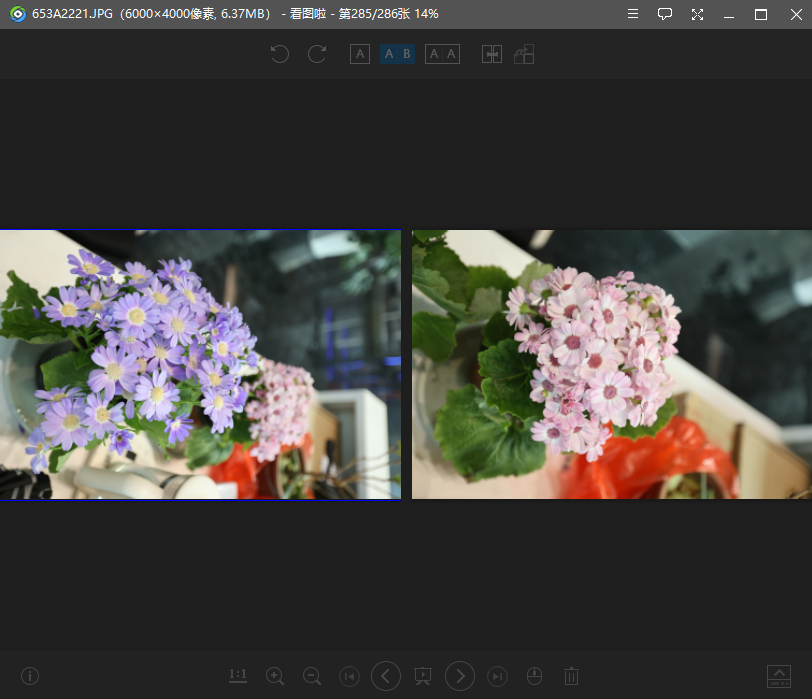 看图啦电脑版v2.0.5.16 官方版