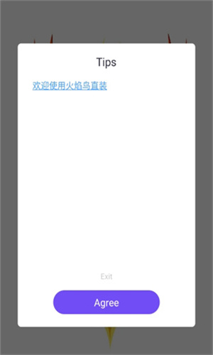 ������ֱװv11.9�ȶ����޲���v11.9 ��׿��