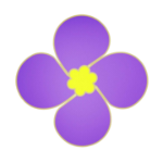 �Ͻ����Ƶ2026���°�v4.8.8 ��׿��