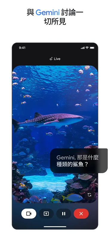 gemini�˹�����v1.0.913571982 ���°�