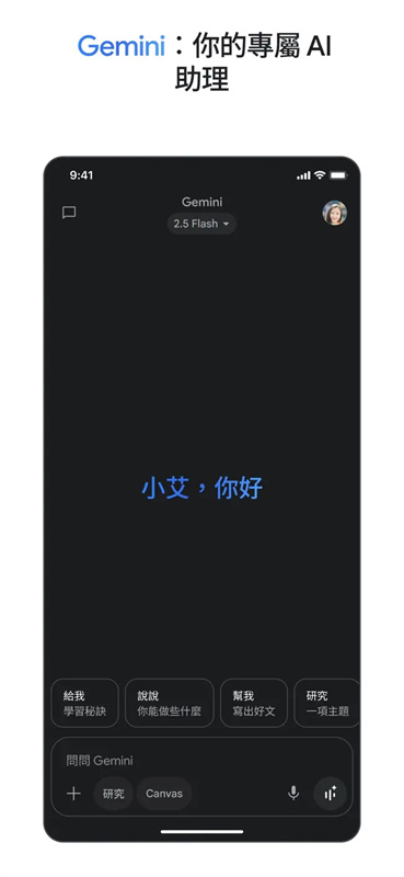 gemini�˹�����v1.0.913571982 ���°�