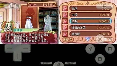 ����Ů�ι���4DS�ر������v3.0 ��׿��