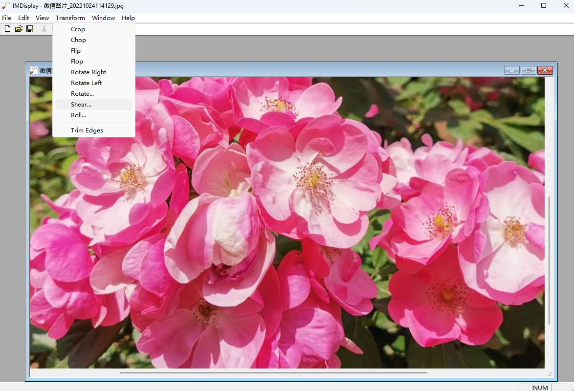 ImageMagickv7.1.223 ���԰�