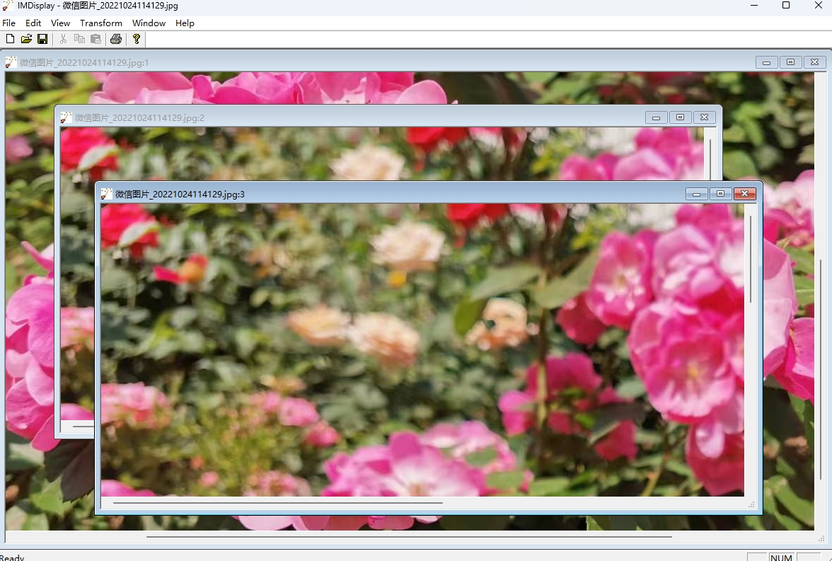 ImageMagickv7.1.223 ���԰�
