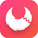 Apifox电脑版v2.8.29 最新版
