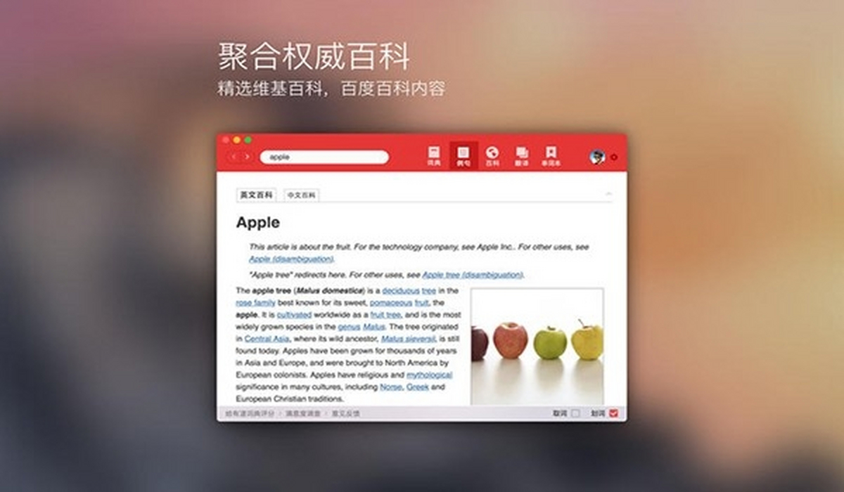 �е��ʵ�Mac��v11.3.8 ���°�