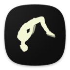 ����շ�2������(Backflip Madness 2)v1.0.7 ��׿��