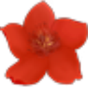С�컨��Ч����pc��