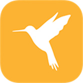 С����ٷ���������app(Reqable)v3.0.40 ���°�