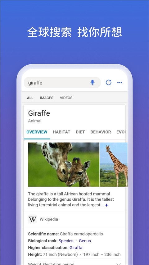 ��Ӧ���ʰ�app���ذ�װ���°汾(Bing)v33.0.440401004 ��׿��