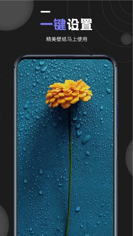 ���Ա�ֽ��ȫappv1.2 ��׿��