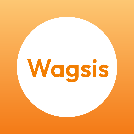 Wagsis appv1.1.1 ���°�