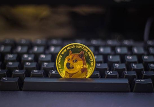 中国狗狗币怎么买 中国大陆狗狗币在哪个平台能买 中国狗狗币怎么买 中国大陆狗狗币在哪个平台能买