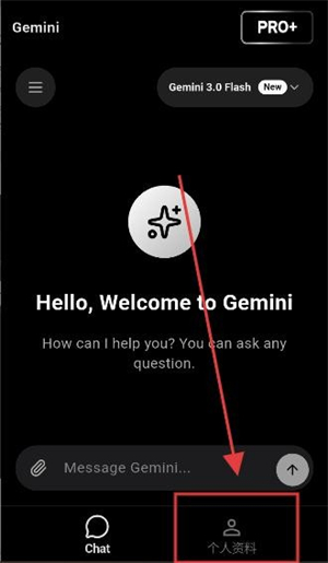 ˫����AIapp����(Gemini)