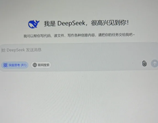 deepseek���԰���ô���� deepseek���԰���ô��