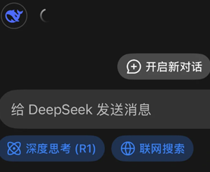 deekspeek���Ǳ�����ô�� deekspeek�����Ľ������