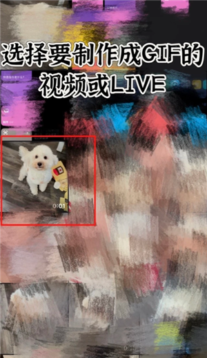 苹果实况照片怎么转gif 苹果实况照片转gif教程 苹果实况照片怎么转gif 苹果实况照片转gif教程