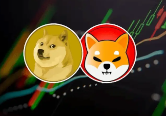 狗狗币和柴犬币哪个有前景 狗狗币和柴犬币有啥区别 狗狗币和柴犬币哪个有前景 狗狗币和柴犬币有啥区别