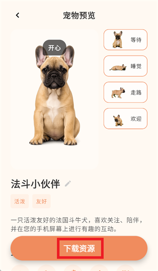 �����������app