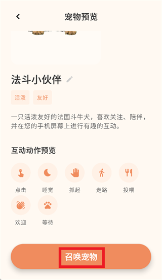 �����������app