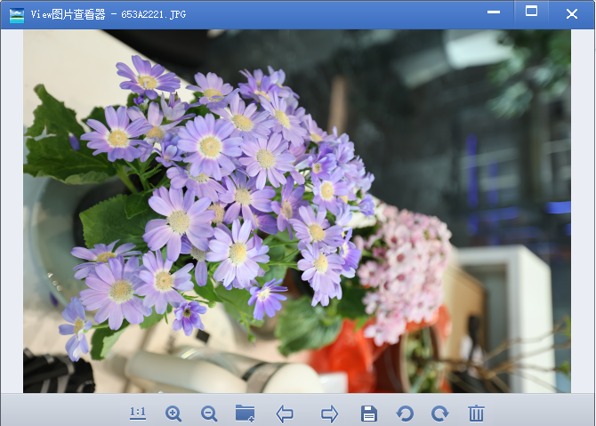 viewͼƬ�鿴��pc��