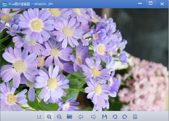 viewͼƬ�鿴��pc��