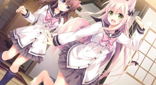兽娘育成方案最新版 兽娘育成方案最新版