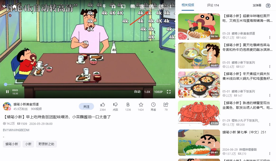 PiliPlus电脑版 PiliPlus电脑版