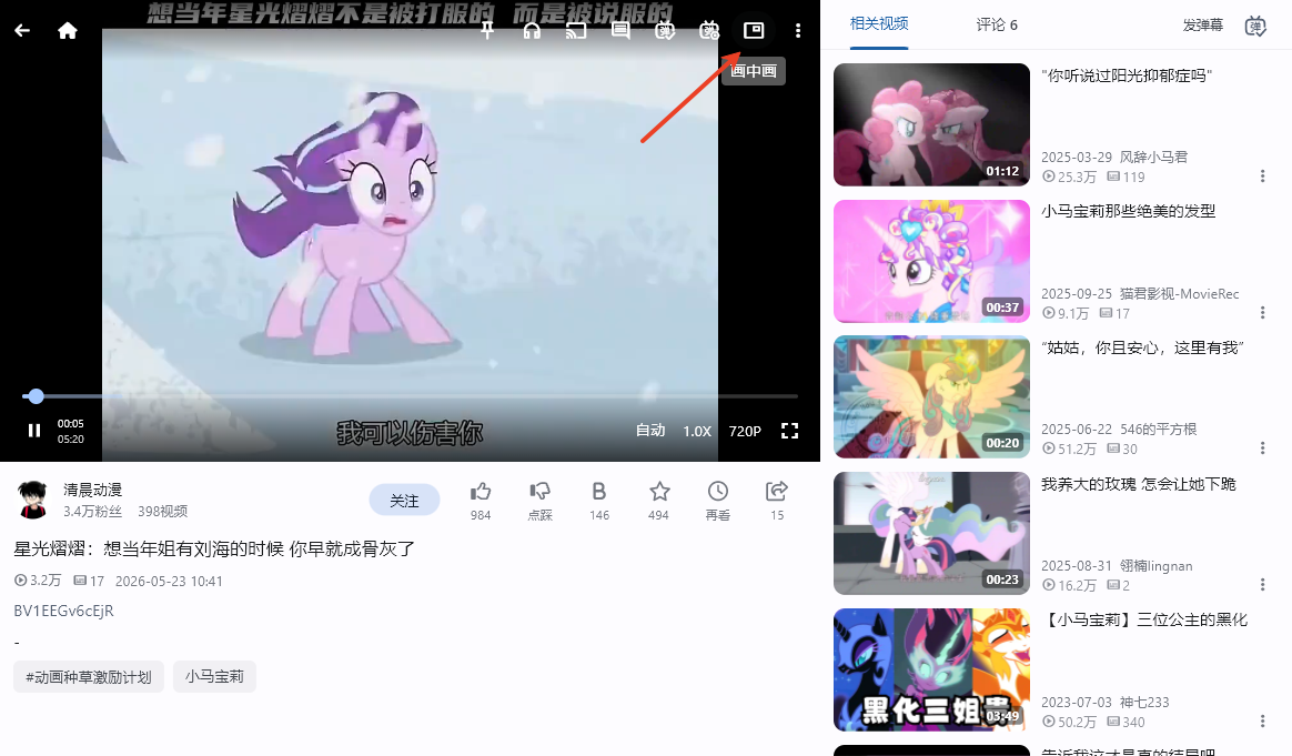 PiliPlus电脑版 PiliPlus电脑版