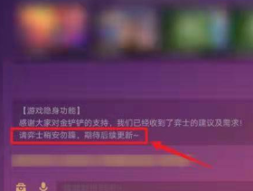 金铲铲之战怎么隐藏vip等级 金铲铲之战隐藏vip等级步骤 金铲铲之战怎么隐藏vip等级 金铲铲之战隐藏vip等级步骤