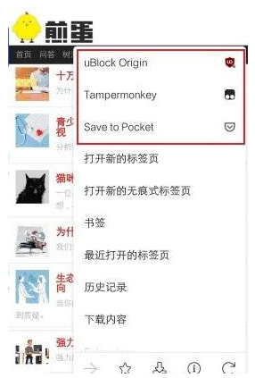 猕猴桃浏览器手机版下载(Kiwi Browser) 猕猴桃浏览器手机版下载(Kiwi Browser)