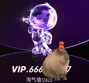 淘宝黑钻会员有啥用 淘宝黑钻会员要消费多少 淘宝黑钻会员有啥用 淘宝黑钻会员要消费多少