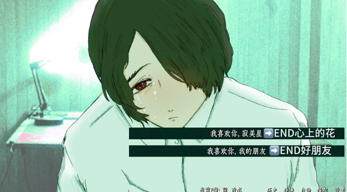 暴杀残雨之夜电脑版 暴杀残雨之夜电脑版